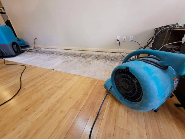 Professional Flood Damage Cleanup technician working in Adams Run, SC